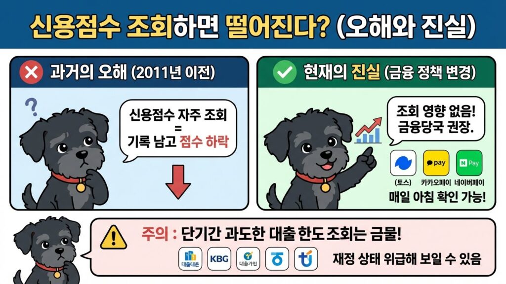 신용점수 조회
